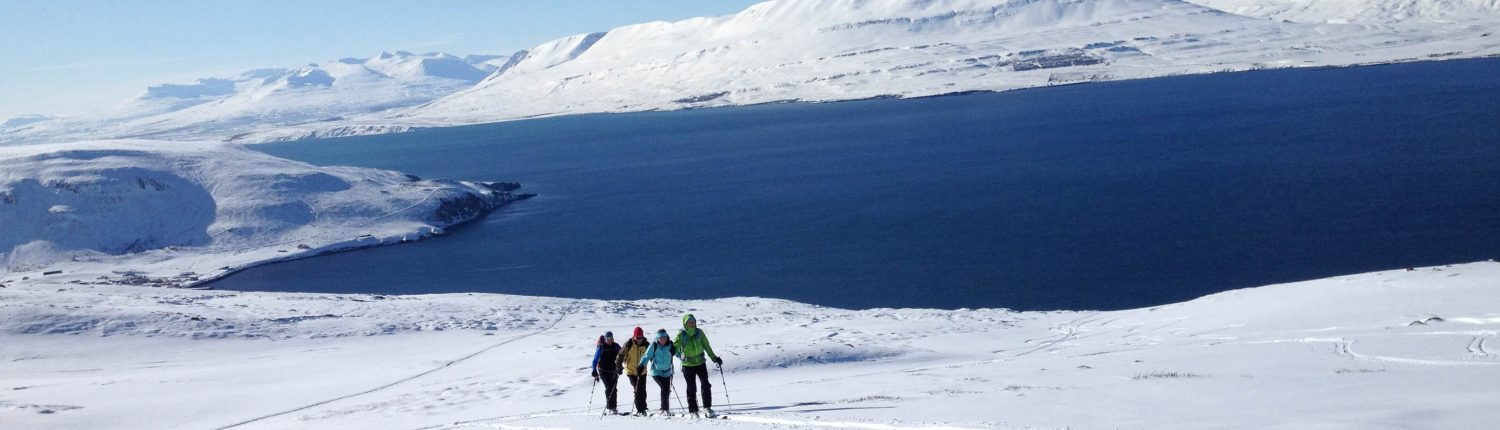 Unsere Skitourenreise auf Island mit Bergführer