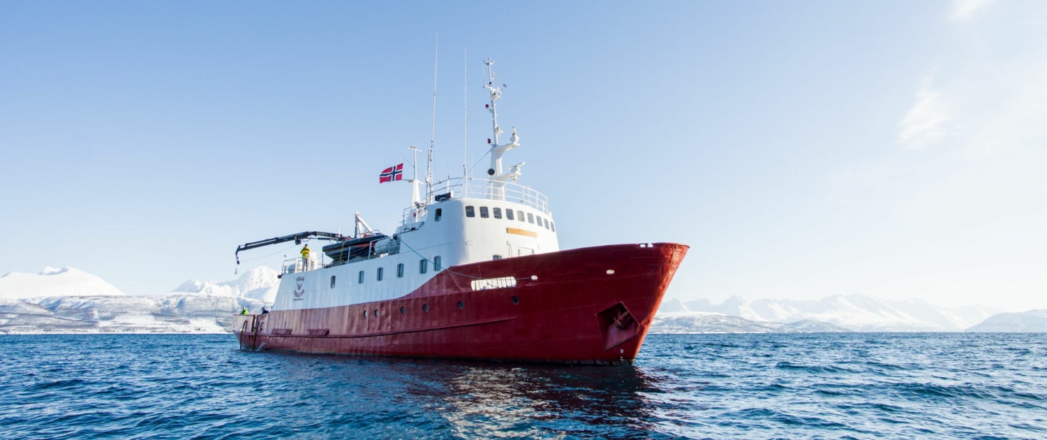 Skitourenreise in Norwegen mit der Polargirl