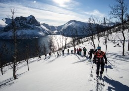Einsame Skitouren in Senja direkt vom Fjord