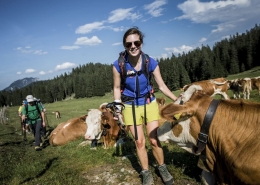 Auf der Wanderung genießen wir die Almidylle