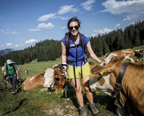 Auf der Wanderung genießen wir die Almidylle