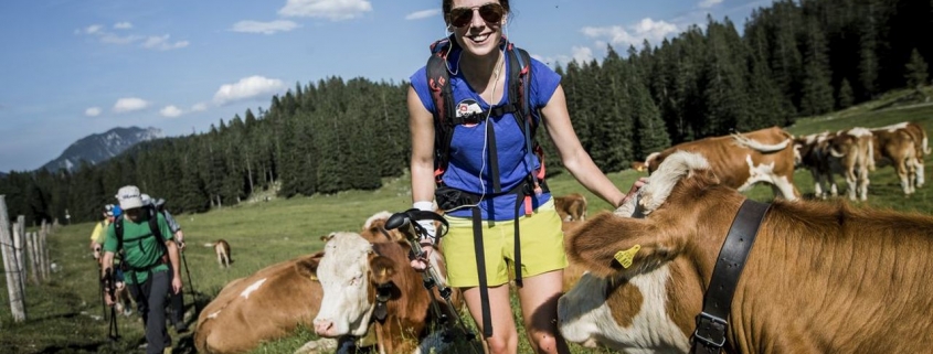 Auf der Wanderung genießen wir die Almidylle