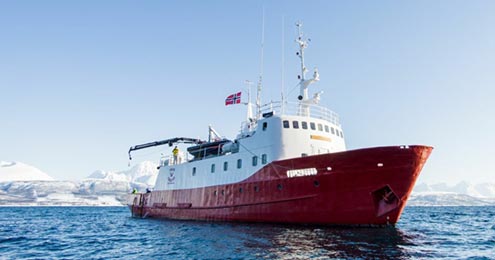 Skitouren in den Lyngenalpen - Norwegen - Reise vom Schiff